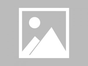 青岛画室招聘文案（青岛艺术工作室诚聘创意画师）